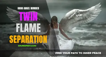How to Cope With 0000 Angel Number Twin Flame Separation