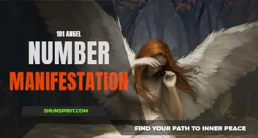 Unlocking the Power of 101 Angel Number Manifestation