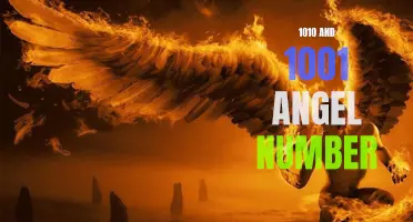 Understanding the Meaning of 1010 and 1001 Angel Numbers