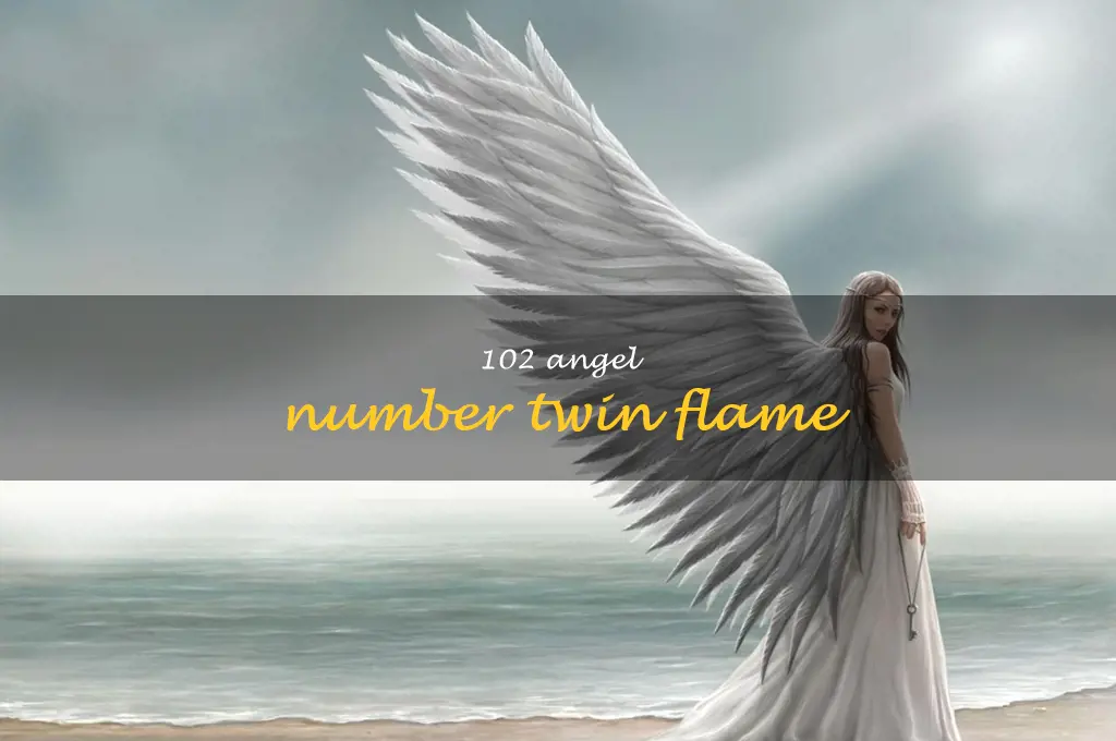 102 angel number twin flame