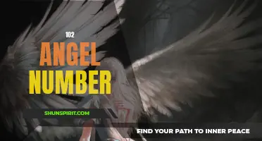 Discover the Meaning Behind the Angel Number 102!
