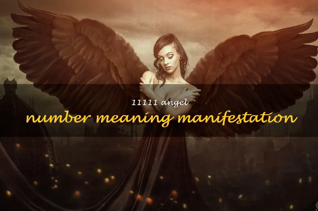 11111 angel number meaning manifestation