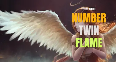 Unlocking the Meaning Behind the 111111 Angel Number and its Connection to Twin Flame Union