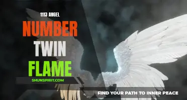 Discover the Meaning Behind the 1113 Angel Number and Its Connection to Twin Flames