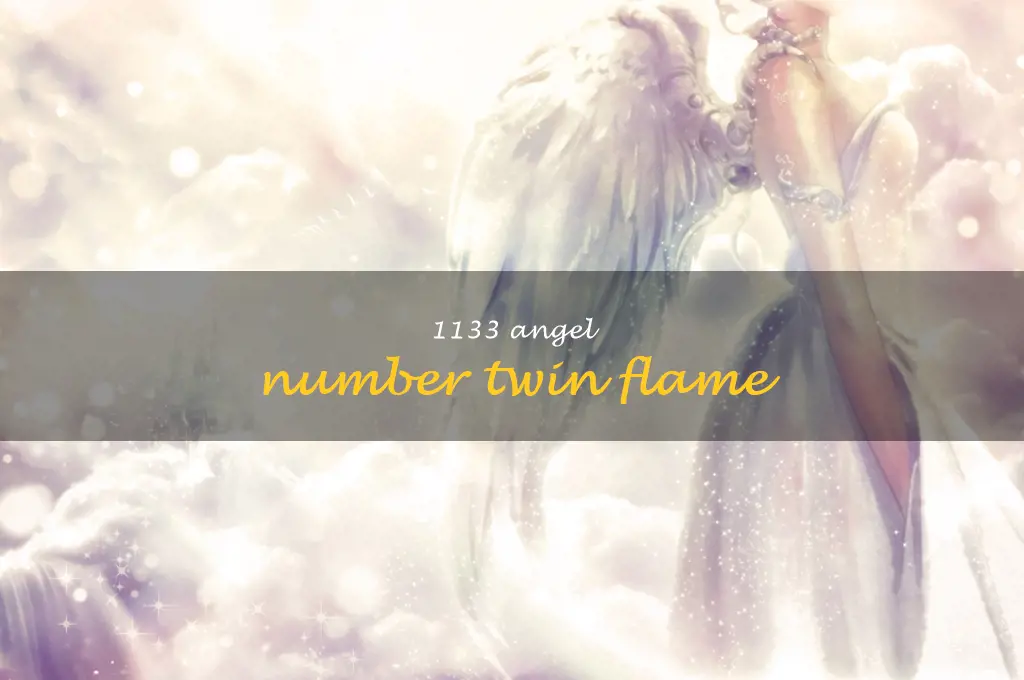 1133 angel number twin flame