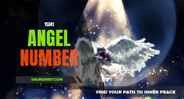 Unlock the Meaning Behind 11341 Angel Number and Its Spiritual Significance