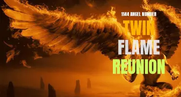1144 Angel Number: The Reunion of Twin Flames