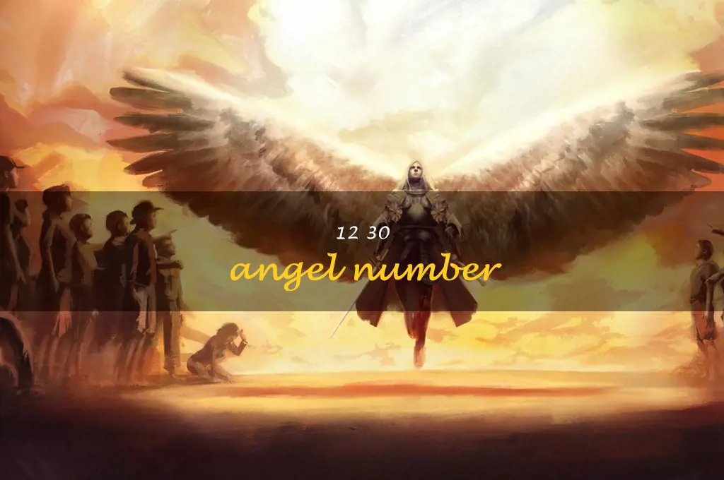 12 30 angel number