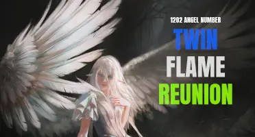 The Reunited Flame: 1202 Angel Number Reveals a Special Twin Flame Reunion