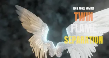 Understanding the Role of 1202 Angel Number in Twin Flame Separation