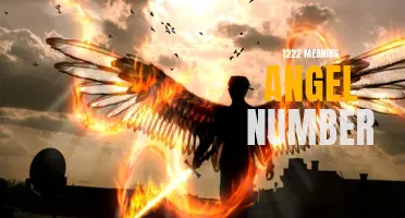 Discover the Meaning Behind Angel Number 1222: Revealing Its Powerful Message