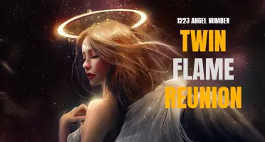 The Magical Reunion: How 1223 Angel Number Twin Flame Unites Souls