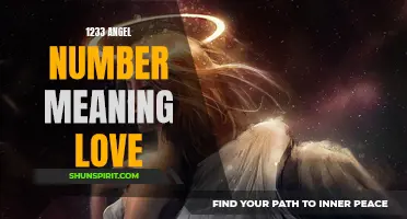 Uncover the Hidden Meaning of 1233: The Angel Number of Love