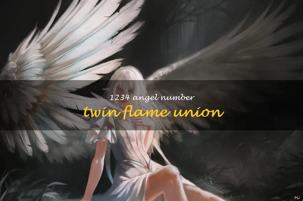1234 angel number twin flame union