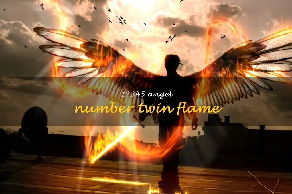 12345 angel number twin flame