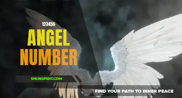 Unlocking the Hidden Meaning of the 123456 Angel Number