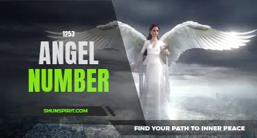 Unlock the Meaning Behind the 1253 Angel Number
