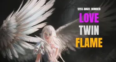 Unlocking the Power of 1255 Angel Number Love: How to Find Your Twin Flame