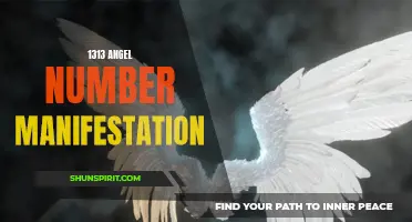 Unlock the Power of the 1313 Angel Number for Manifestation