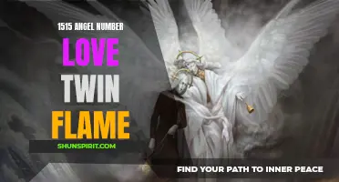 Unlocking the Mysteries of 1515 Angel Number Love Twin Flame