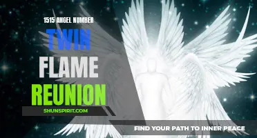 Reunited by the 1515 Angel Number: How a Twin Flame Reunion Changed Two Lives Forever