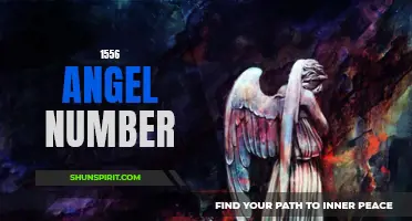 Unveiling the Meaning of the 1556 Angel Number