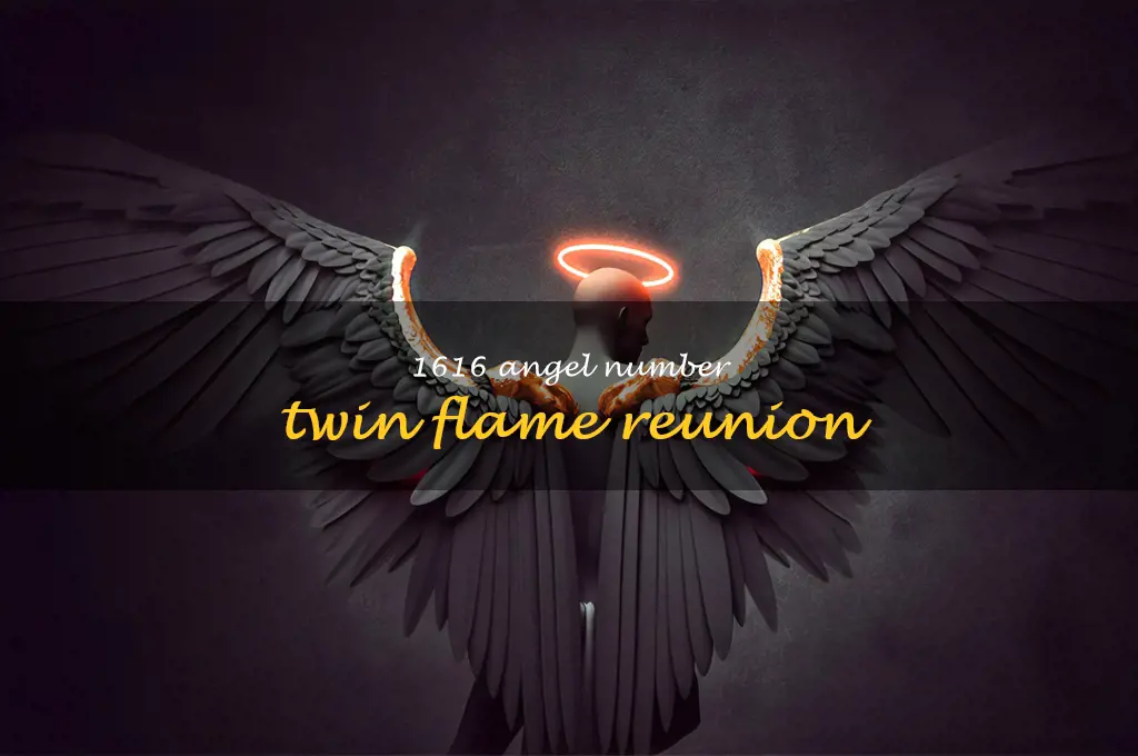 1616 angel number twin flame reunion