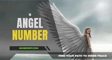 Discover the Meaning Behind the 19 Angel Number