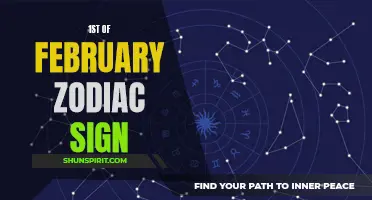 The Aquarius Reign: Exploring the Zodiac Sign for February 1st