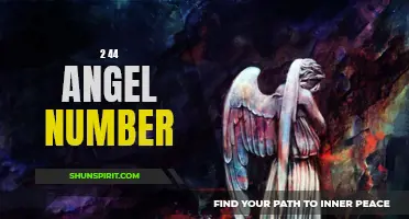 Uncover the Meaning Behind the 2 44 Angel Number
