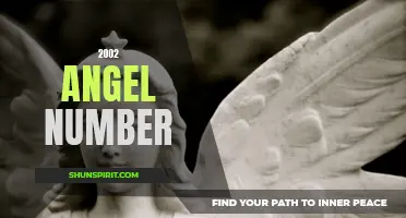Unlocking the Meaning Behind 2002: The Power of the Angel Number