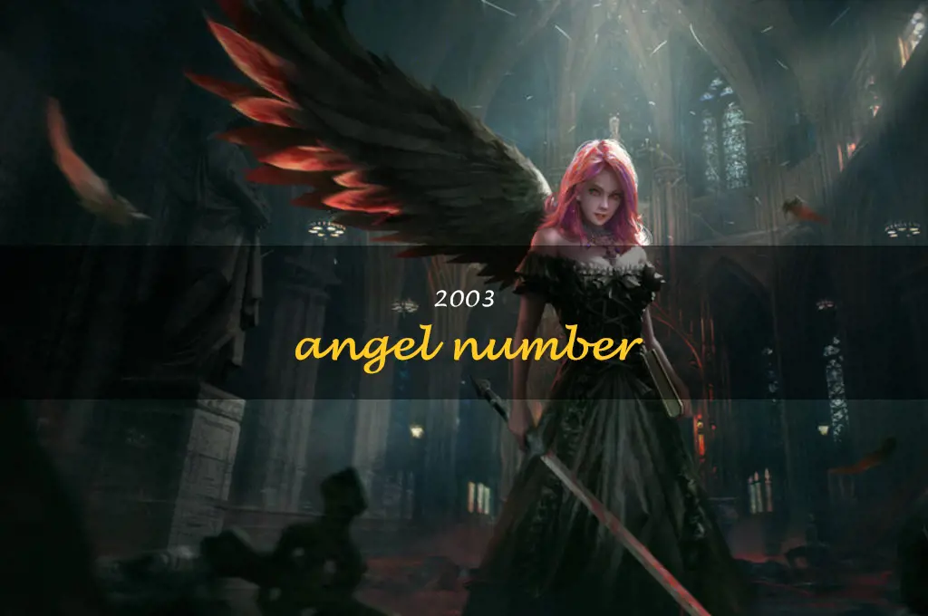 2003 angel number