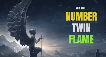 Unlocking the Secrets of 202 Angel Number and Twin Flame Connection