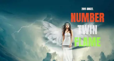 Discover the Meaning of 209 Angel Number & Its Significance in Twin Flame Relationships