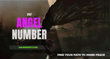 Unveiling the Meaning Behind the 2117 Angel Number