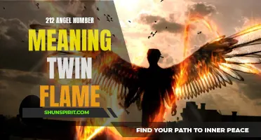 Unlock the Hidden Meaning of 212 - The Angel Number of Twin Flames