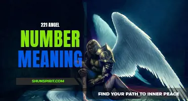 Unlock the Meaning Behind the 221 Angel Number