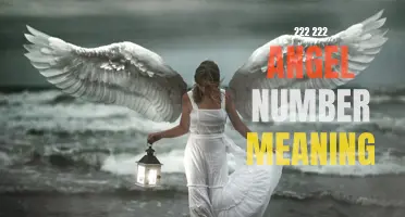 Unlock the Deeper Meaning Behind the 222 222 Angel Number