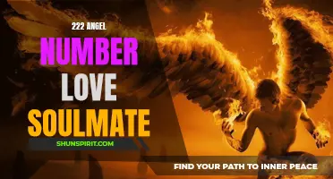 Unlock the Power of 222 Angel Number Love to Attract Your Soulmate!