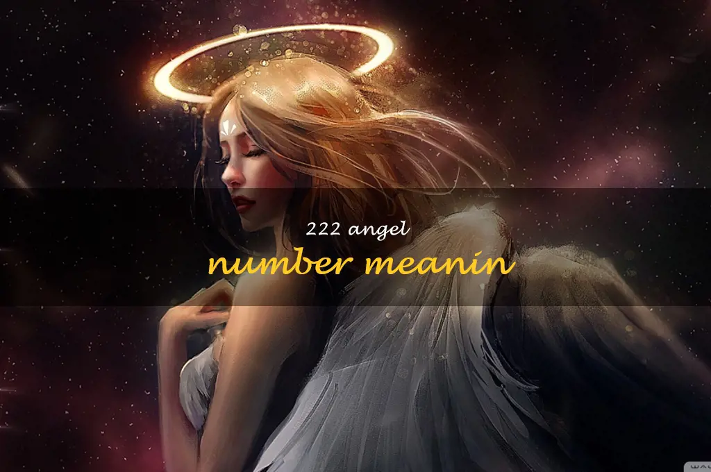 222 angel number meanin