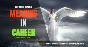 Understanding the Significance of 222 Angel Number in Your Career