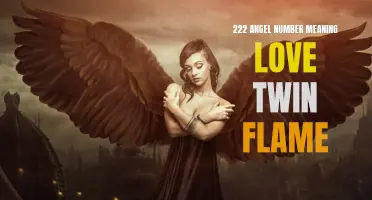 Unlocking the Mystery of the 222 Angel Number: Uncovering the Meaning of Love and Twin Flames
