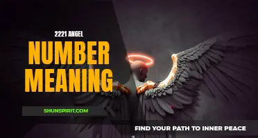 Unlock the Hidden Meaning Behind the 2221 Angel Number
