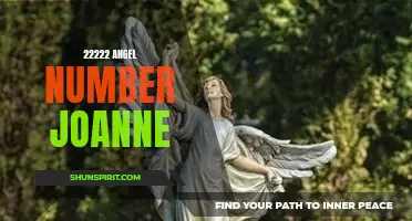 What Does the 22222 Angel Number Mean? A Guide by Joanne