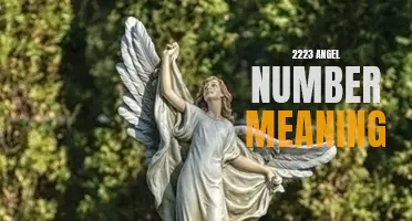 Uncovering the Meaning Behind the 2223 Angel Number