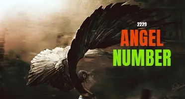 Unlock the Meaning of 2229 Angel Number and Discover Your Life's Purpose