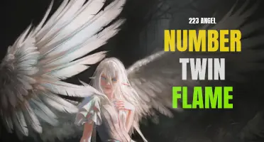 Unlocking the Mysteries of the 223 Angel Number in Twin Flame Connections