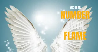 Unlocking the Meaning of 2233 Angel Number: What it Means for Your Twin Flame Connection