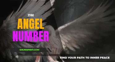 Uncovering the Meaning Behind 2244: A Guide to the Angel Number