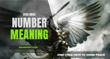 Discover the Meaning Behind the 2255 Angel Number
